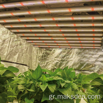 LED Grow Light Full Spectrum 660nm 1200W